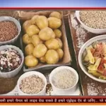 अगर आपका दिल भी है कमजोर.. तो कभी ना खाएं यह 5 food..नहीं तो बढ़ जाएगी दिल की धड़कन….. अगर आपका दिल भी है कमजोर.. तो कभी ना खाएं यह 5 food..नहीं तो बढ़ जाएगी दिल की धड़कन…..