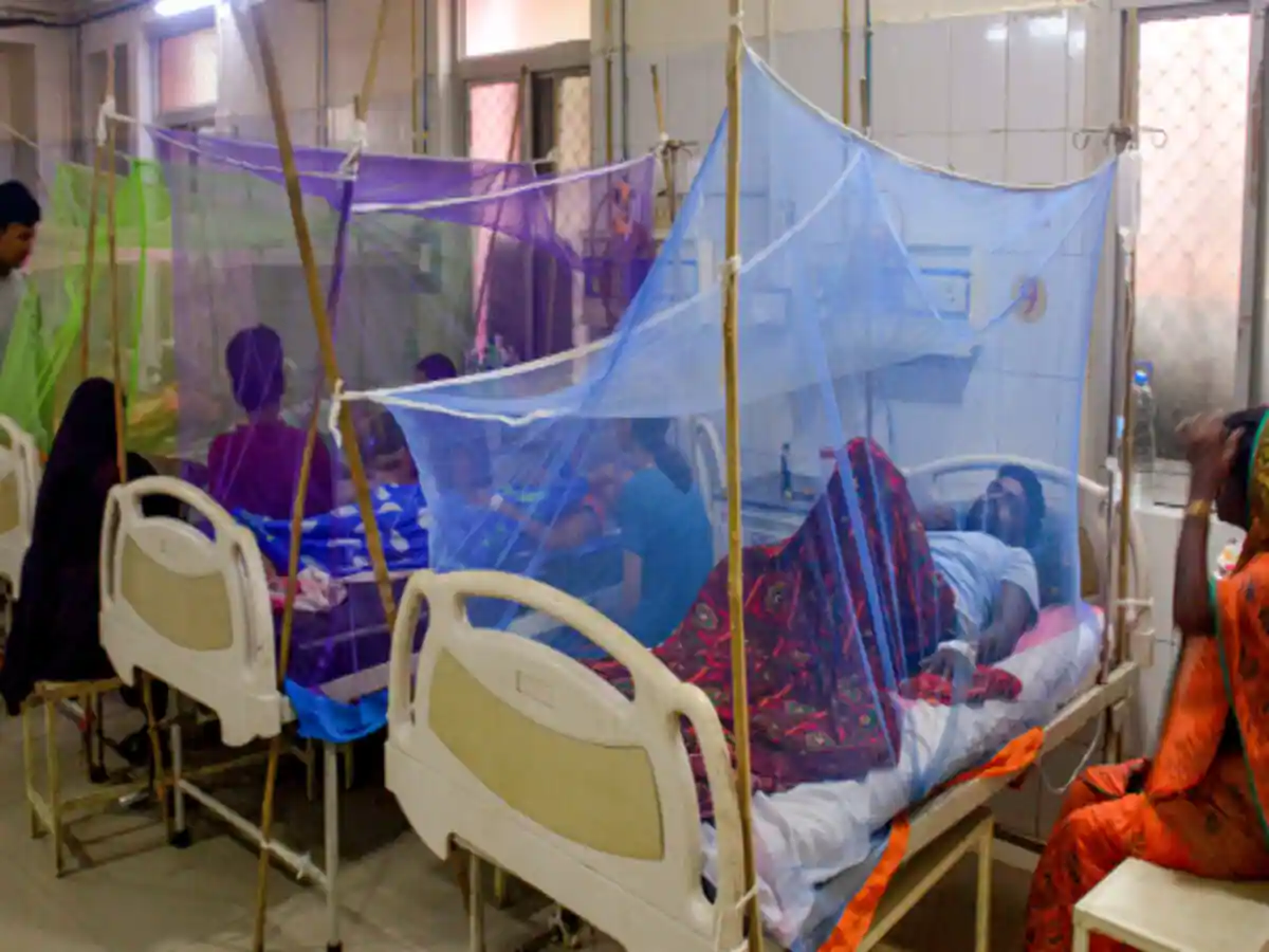 पटना में डेंगू से 15 महीने की बच्ची की मौत, राज्य में 7 हजार के पार हुई मरीजों की संख्या पटना में डेंगू से 15 महीने की बच्ची की मौत, राज्य में 7 हजार के पार हुई मरीजों की संख्या